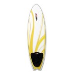 Classic Fish E2 5'6" NSP Surf Board
